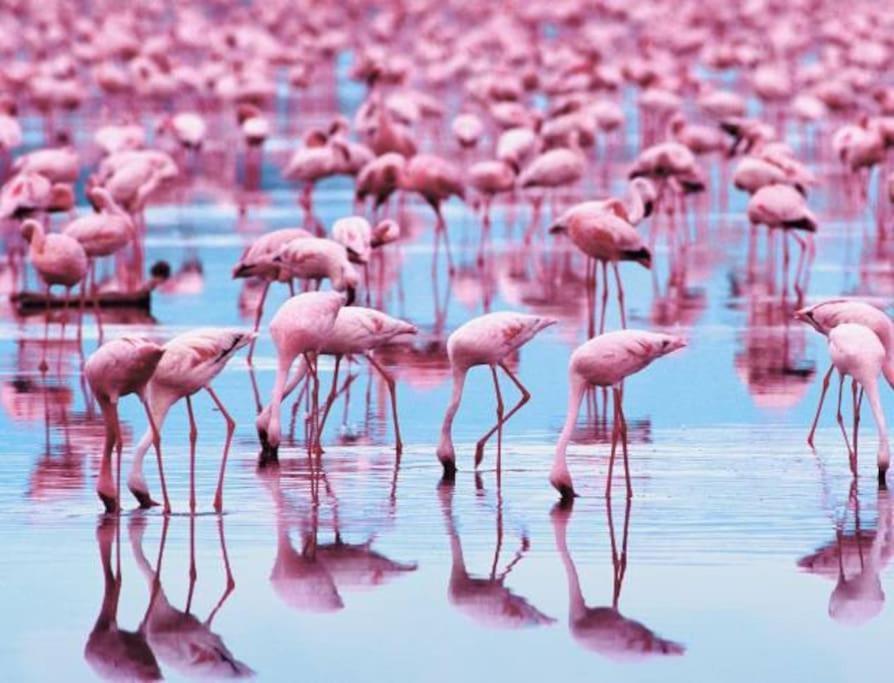 クアルトゥ・サンテーレナLa Casa Al Poetto - Iun R0135アパートメント エクステリア 写真